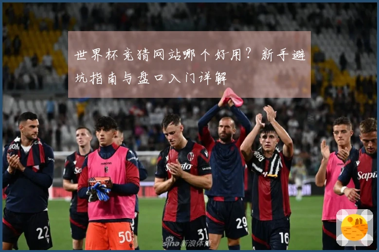 世界杯竞猜网站哪个好用?新手避坑指南与盘口入门详解