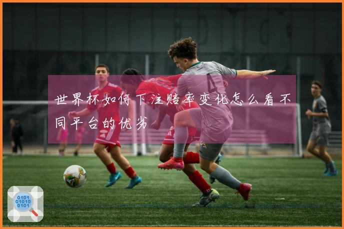 世界杯如何下注赔率变化怎么看不同平台的优劣
