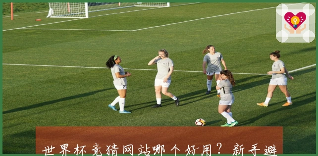 世界杯竞猜网站哪个好用？新手避坑指南与盘口入门详解