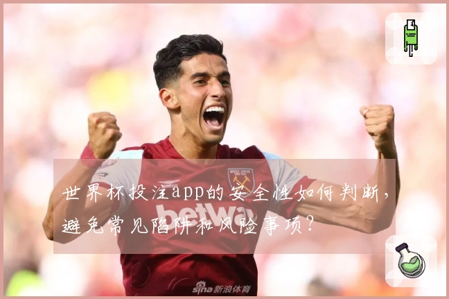 世界杯投注app的安全性如何判断,避免常见陷阱和风险事项?